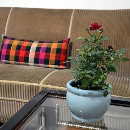 Affittacamere Interno 45 3*